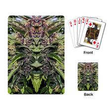 Playing Cards