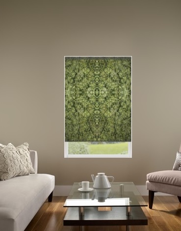 Honey Bear roller shade