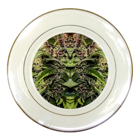 Purple Goo plate