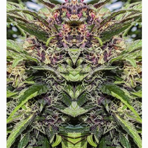 Purple Goo shower curtain by Cannaflage Designs
