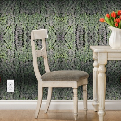 Tangerine Dream wallpaper